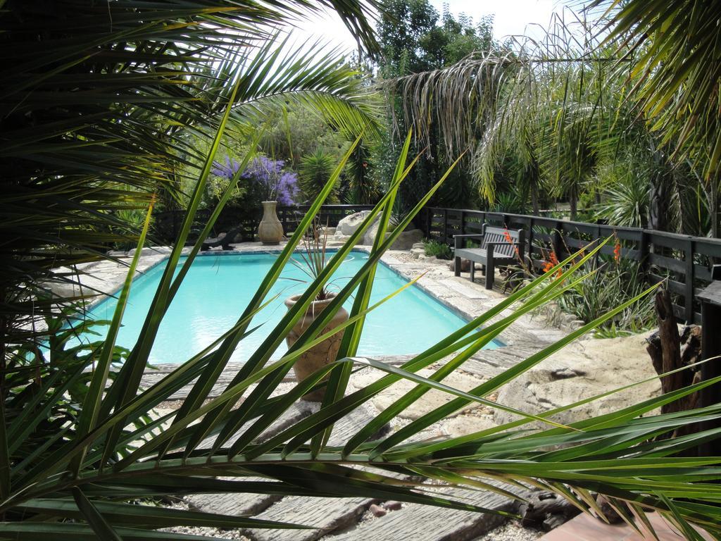 Pine Tree Lodge Midrand Ngoại thất bức ảnh