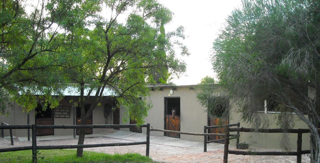 Pine Tree Lodge Midrand Ngoại thất bức ảnh