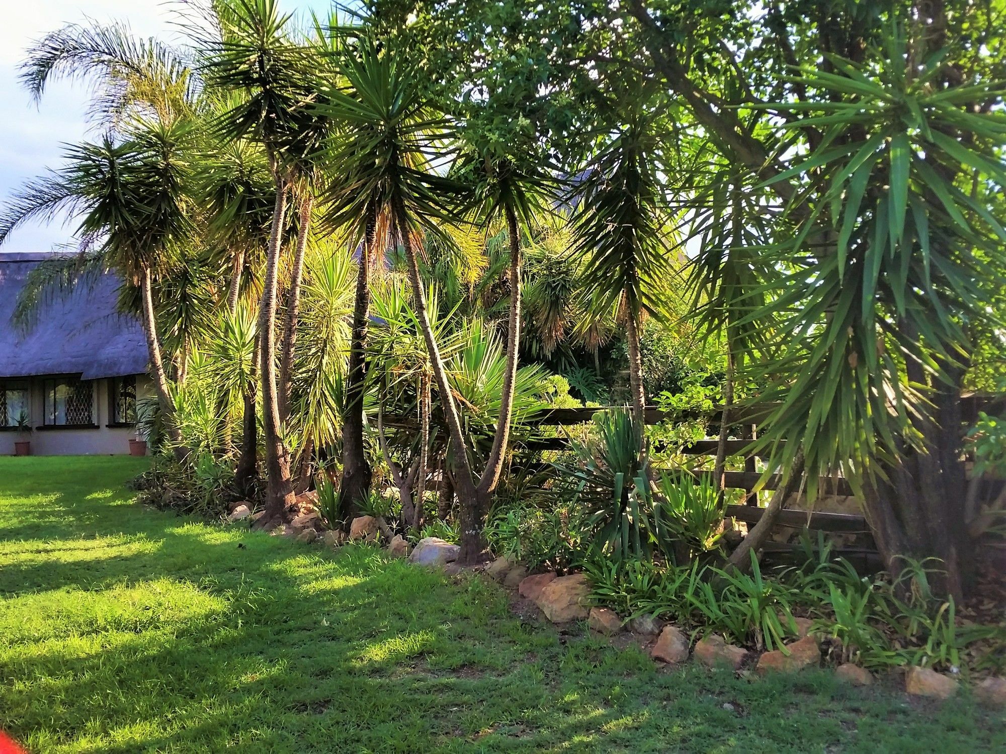 Pine Tree Lodge Midrand Ngoại thất bức ảnh