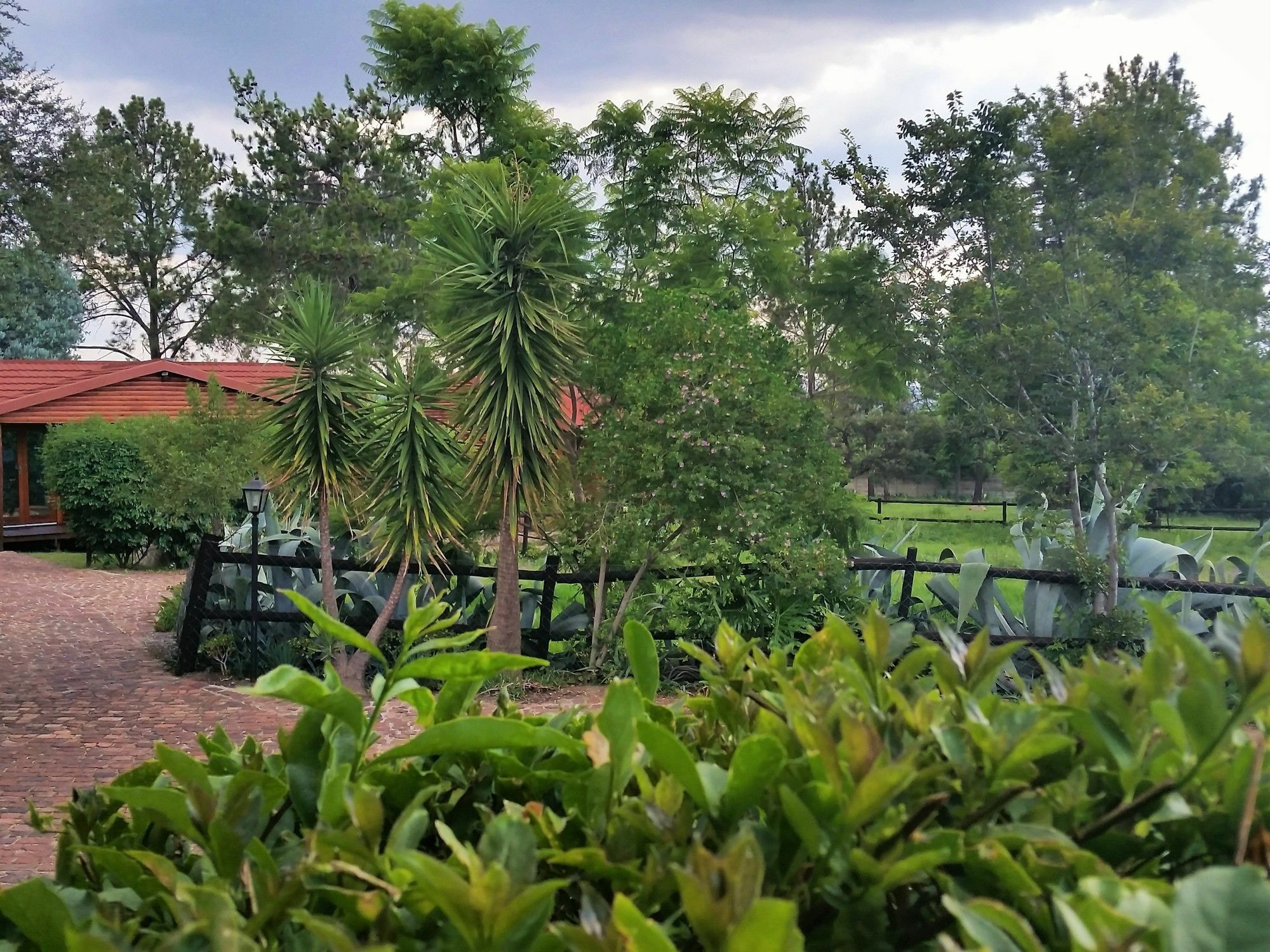 Pine Tree Lodge Midrand Ngoại thất bức ảnh